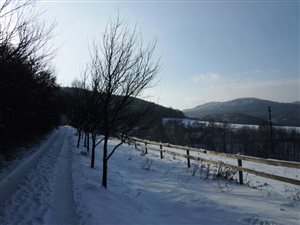 zima 2011